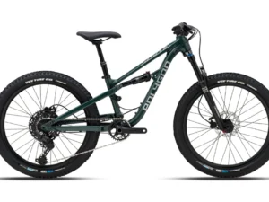 Polygon Siskiu D24 EVO