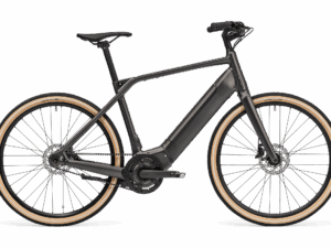 Schindelhauer Heinrich Singlespeed 65nm